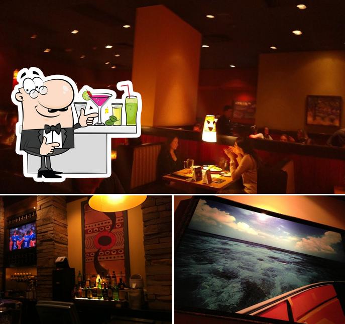 Observa las fotos que muestran barra de bar y exterior en Outback Steakhouse