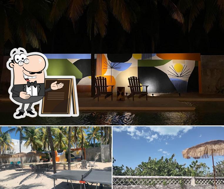 Palmar Sisal - Club de Playa, Sisal - Restaurant reviews