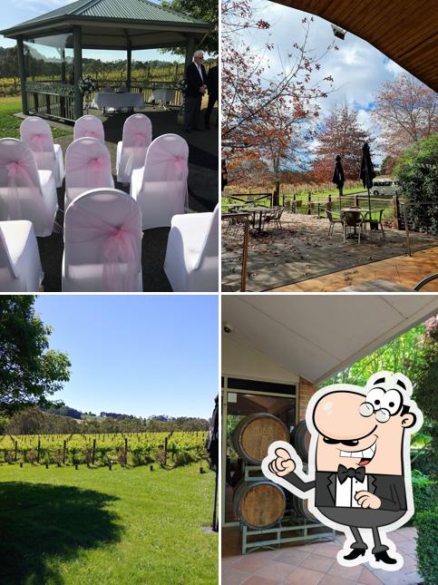 Wild Cattle Creek Estate, 473 Warburton Hwy in Wandin North