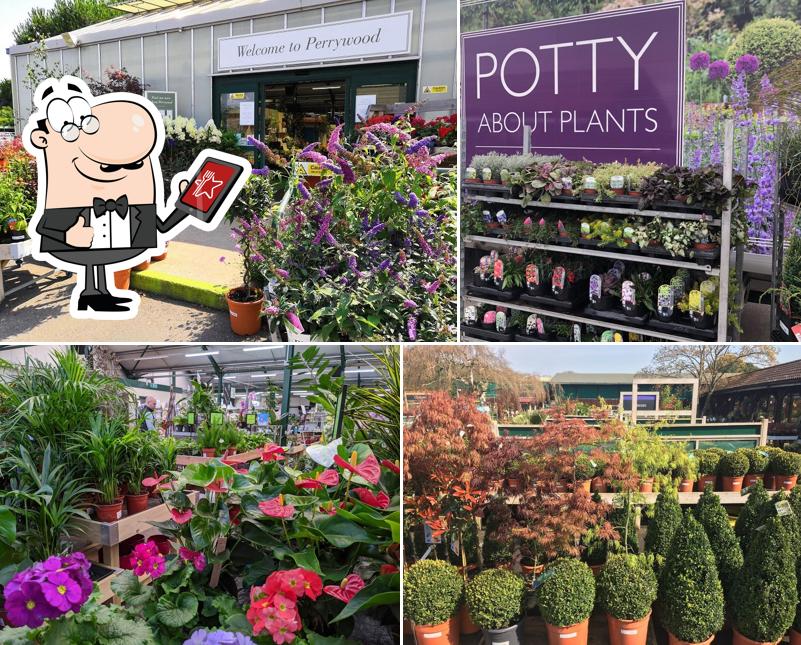 Perrywood Garden Centre, Sudbury in Sudbury Restaurant menu and reviews