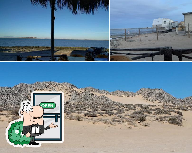 Cholla Bay Oyster House, Puerto Peñasco,