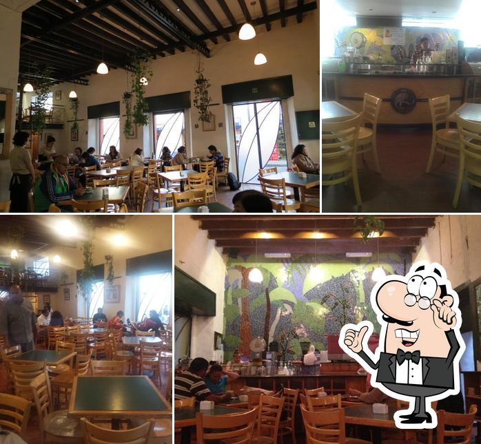 La Selva Café, Mexico City, Calle Moneda S/N Col. Tlalpan Centro I -  Restaurant reviews