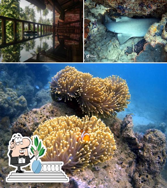 You can get some fresh air at the outside area of Gypsy Divers Dive Resort