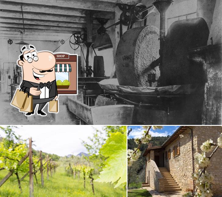 Guarda gli esterni di Agriturismo La Drupa