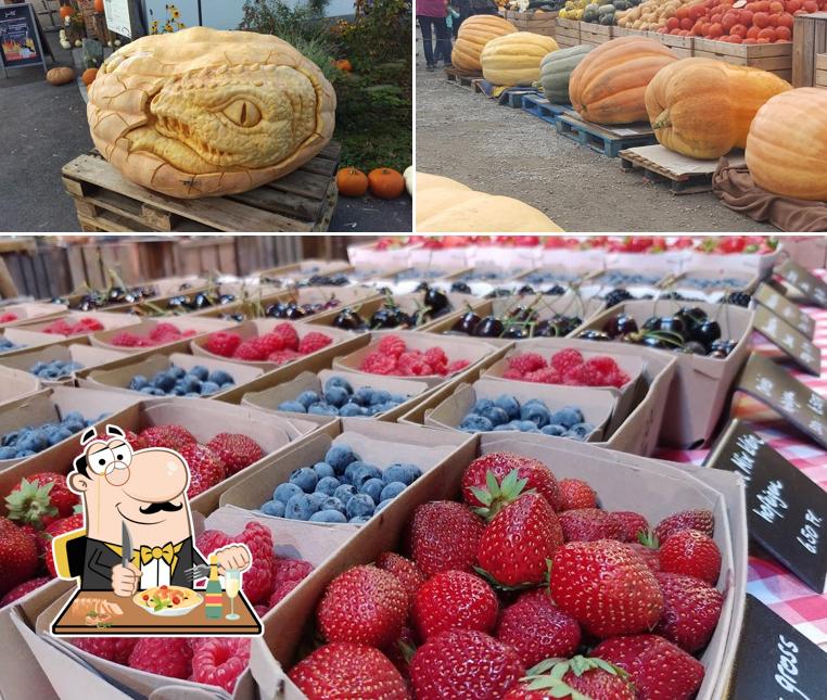 Cibo al Bächlihof, Jucker Farm AG