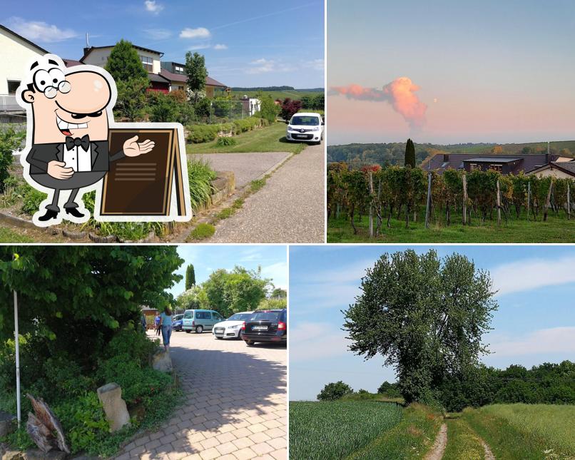 Weingut Sommer GbR Haberschlacht