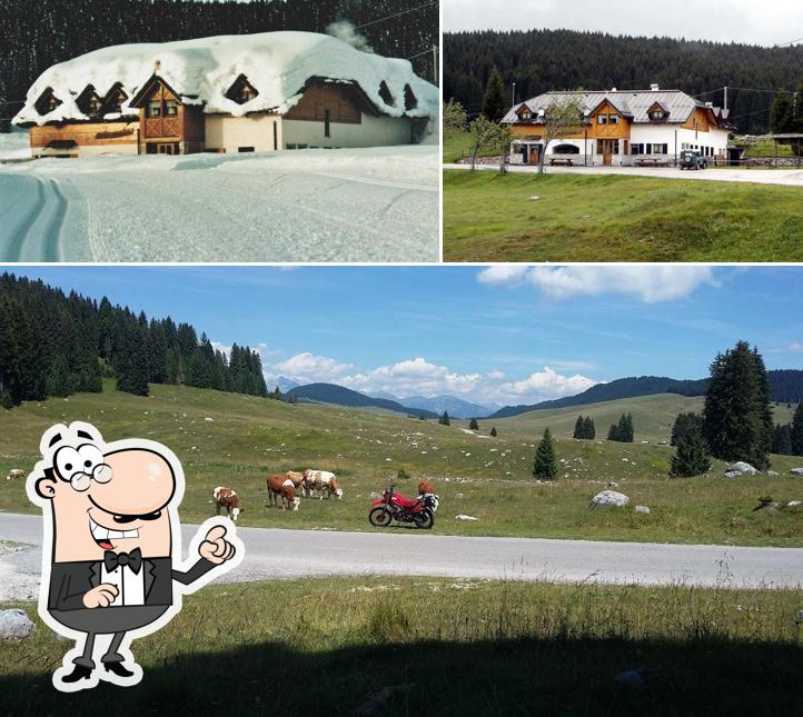 Guarda gli esterni di Rifugio Marcesina