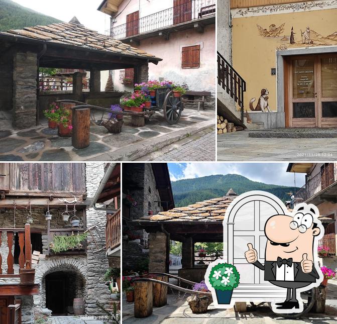 Le Gîte aux Marroniers