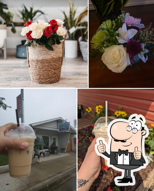 Carman Floristas