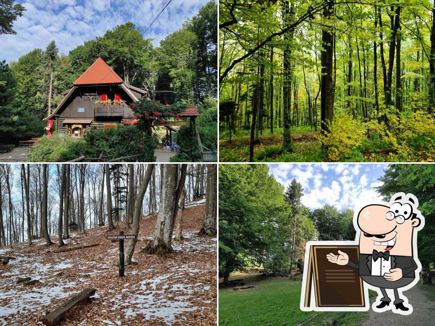 Mountain hut Grafičar / Malo Sljeme d.o.o.