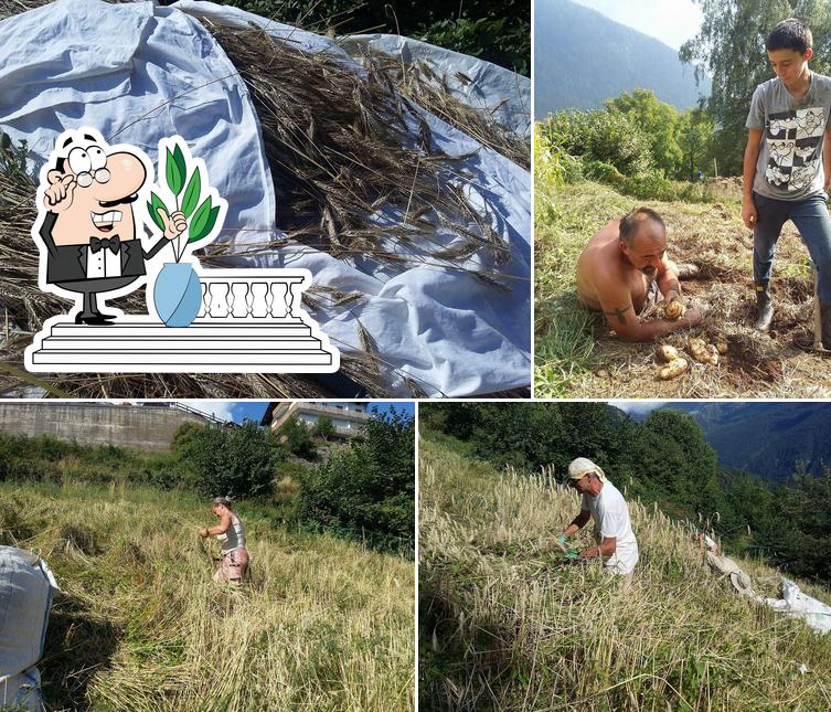 Gli esterni di Agriturismo Canöa da Vasco & Monica Saviore dell'Adamello