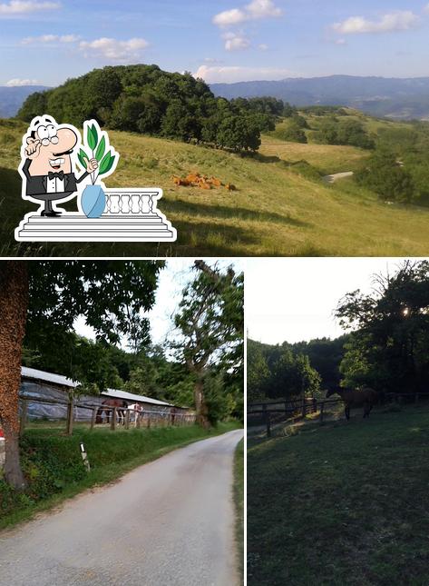 Gli esterni di Agriturismo Pratinovi