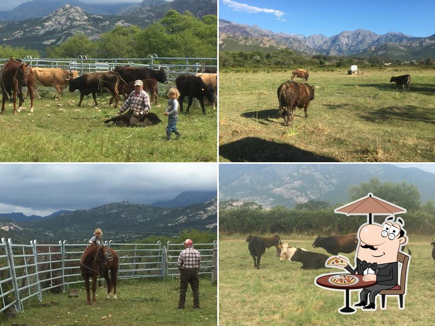 O' Paradisu Ranch