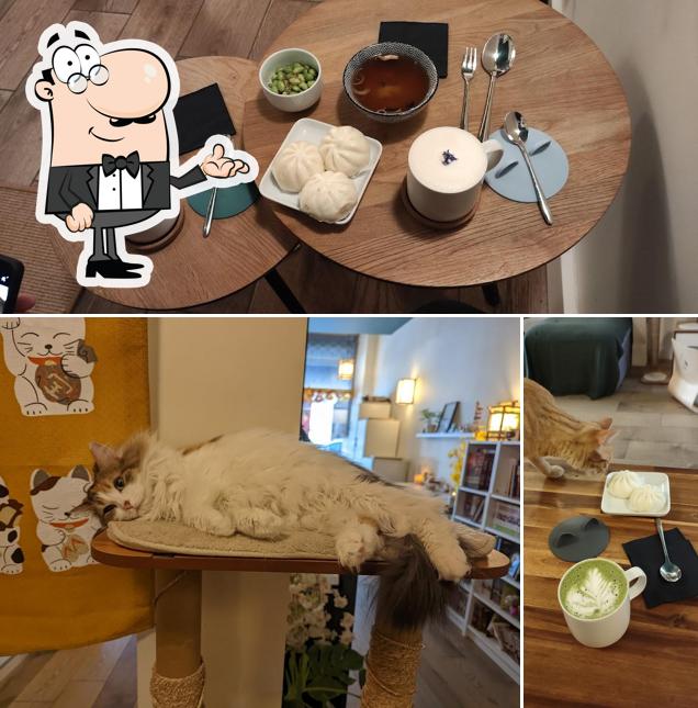 El interior de NEKOMATA - Café à chats