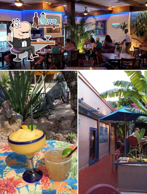 Blue Coyote Grill, 445 N Palm Canyon Dr in Palm Springs - Restaurant ...