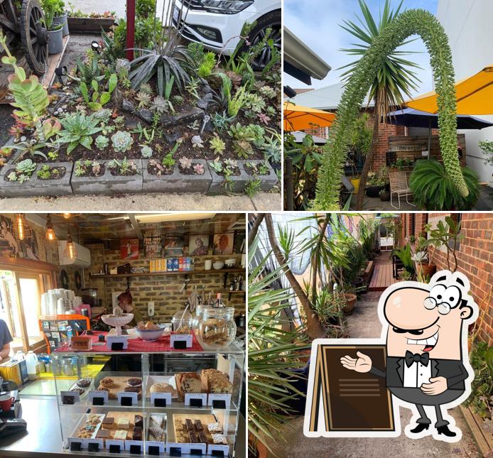 Babylon Cafe in Leederville Restaurant menu and reviews