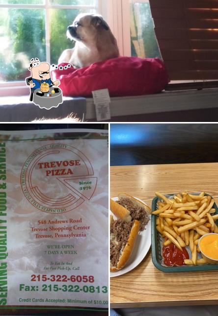 Order takeout in FeastervilleTrevose