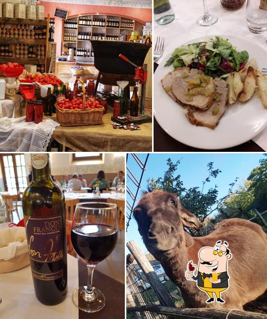 Agricoltura Capodarco