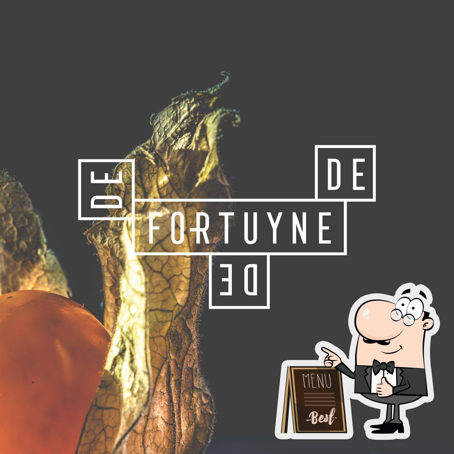 De Fortuyne