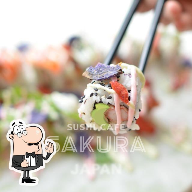 SAKURA Sushi Cafe