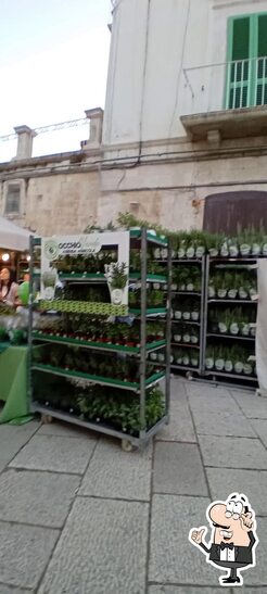 Dai un'occhiata agli interni di Guyot Enobistrot.