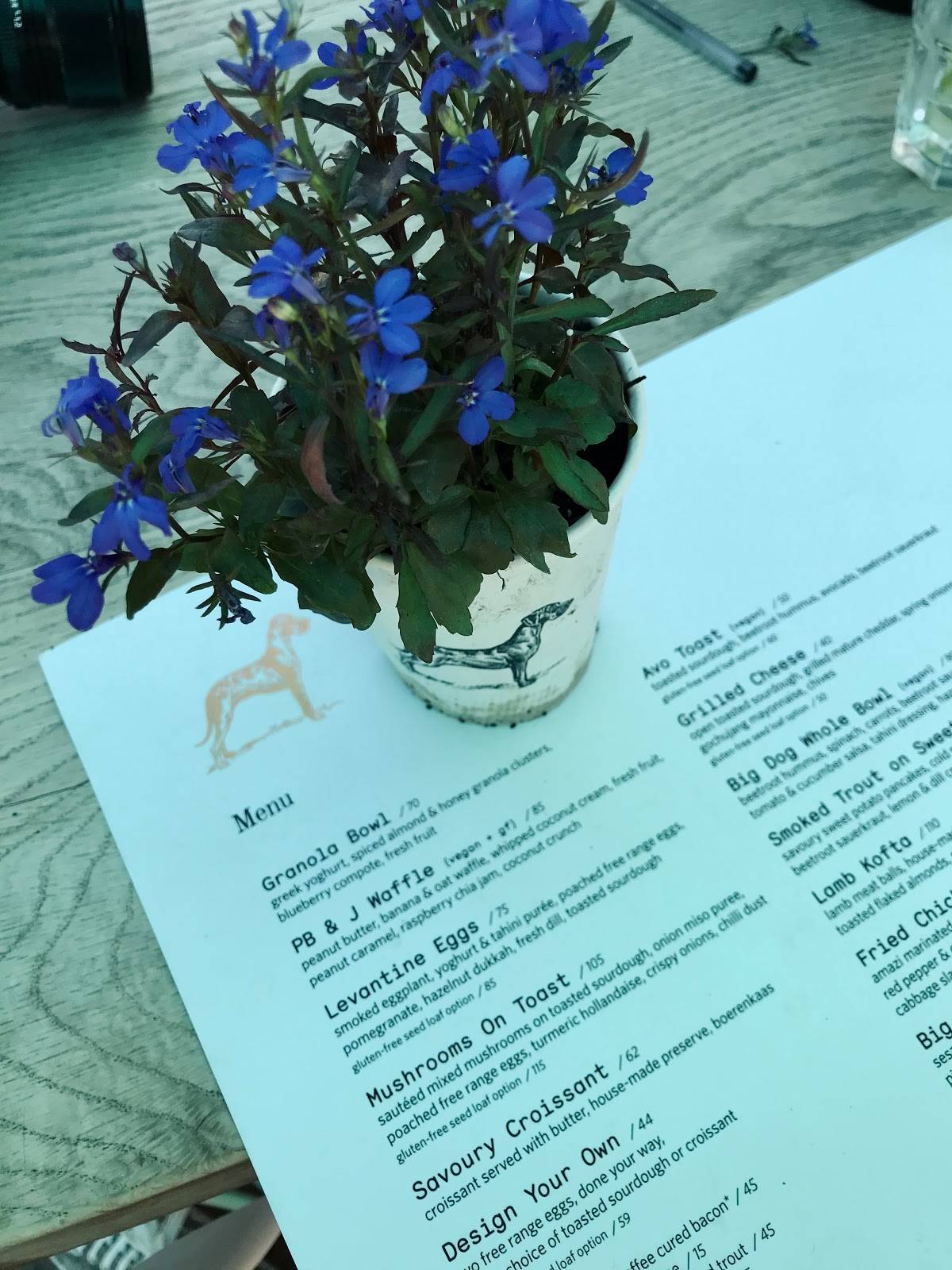 Menu at Terbodore Café Franschhoek cafe, Franschhoek