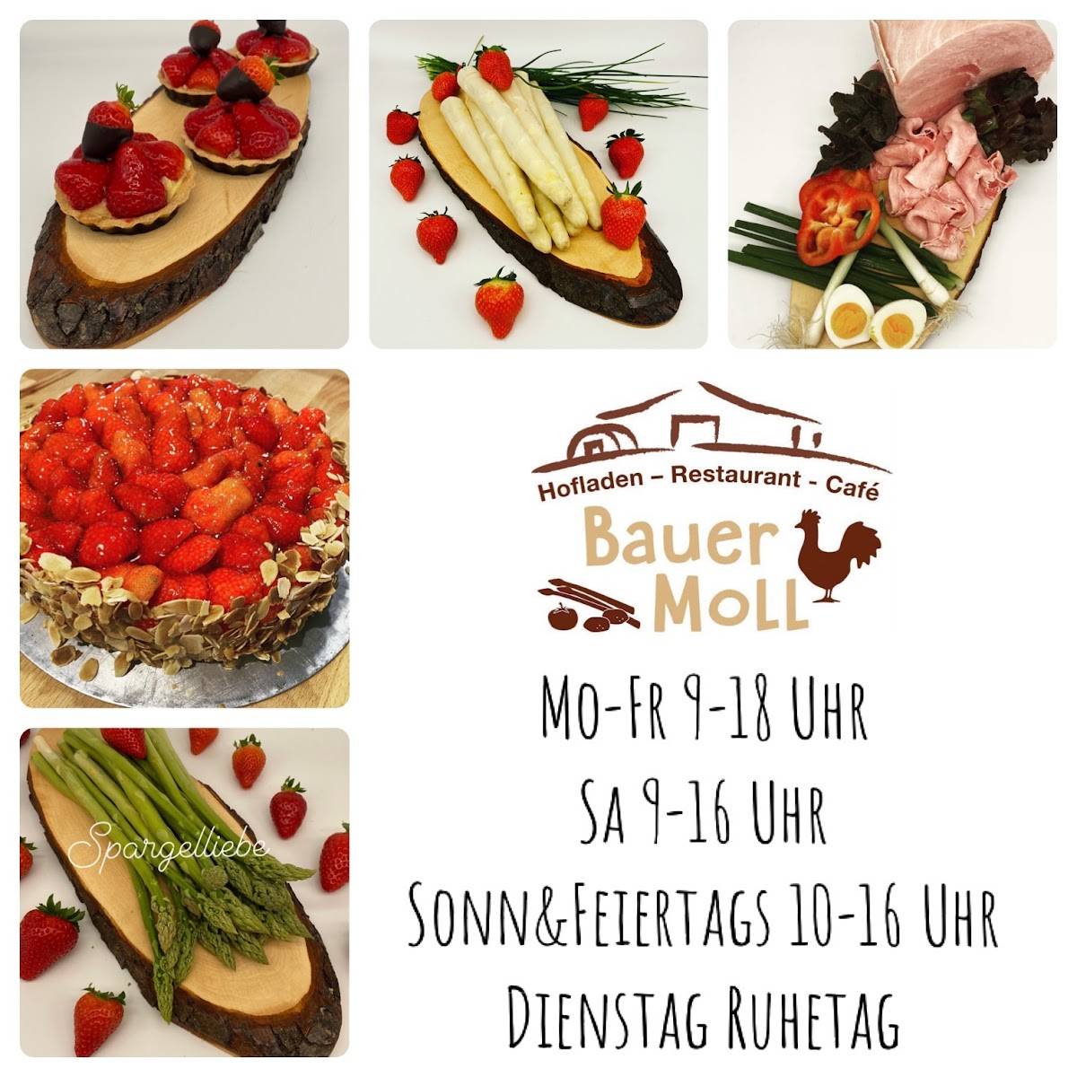 Bauer Moll Kerpen