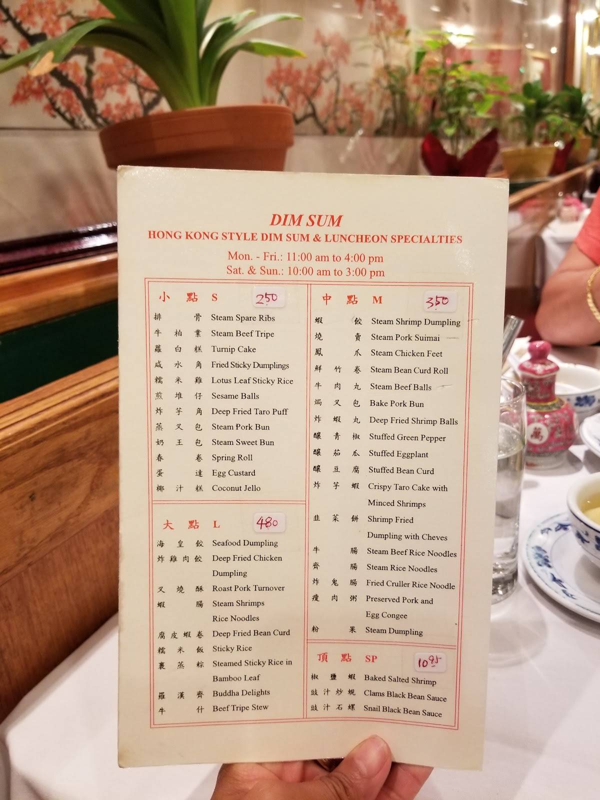 Menu at Fortune Wheel restaurant, Levittown
