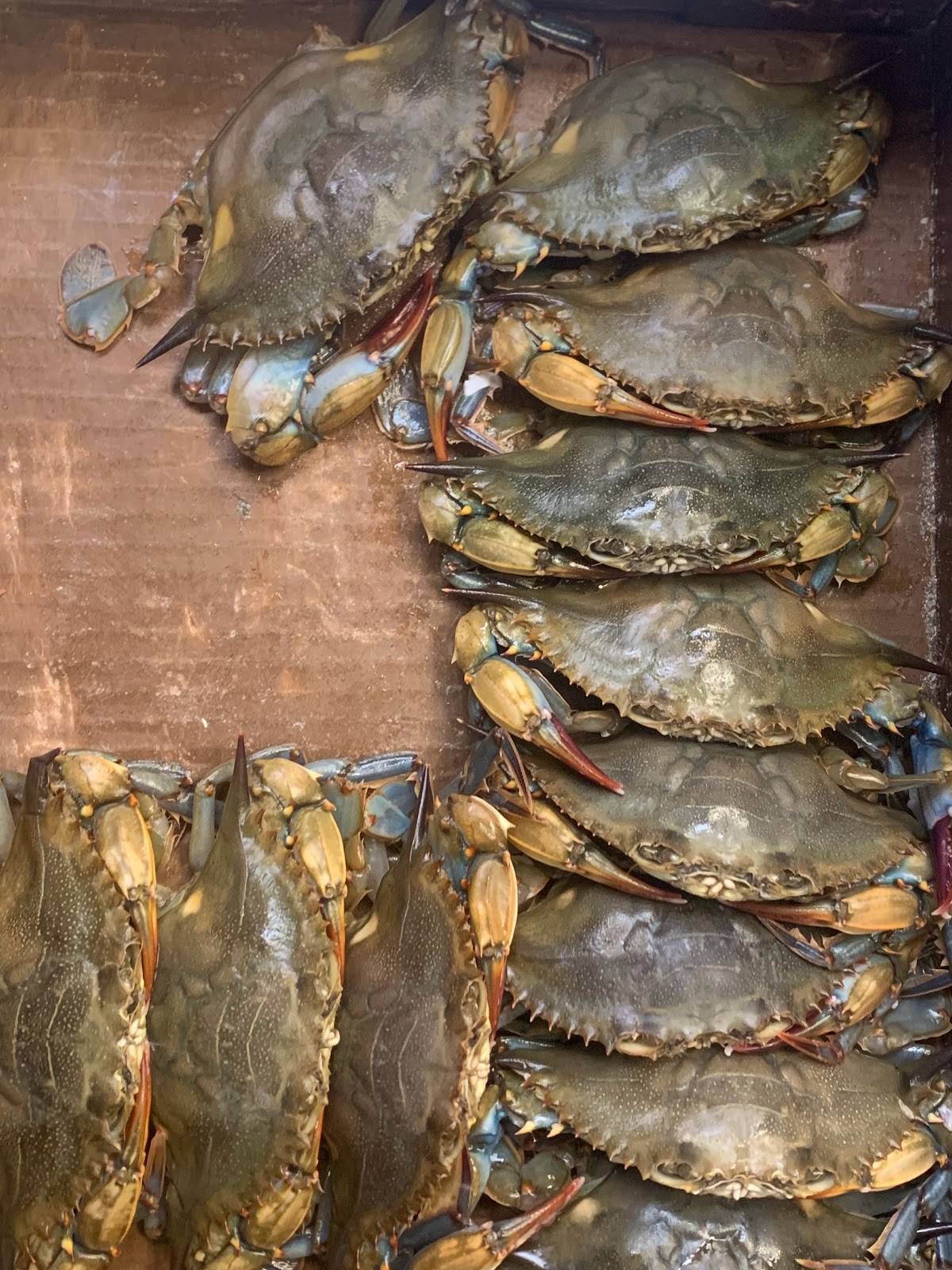 Menu at Monte's Fish Fry & Seafood Market restaurant, Toms River
