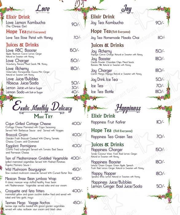 Hope Cafe Pondicherry menu