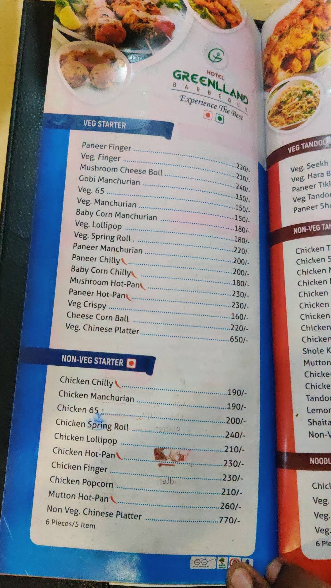 Menu at Hotel Greenland., Karad