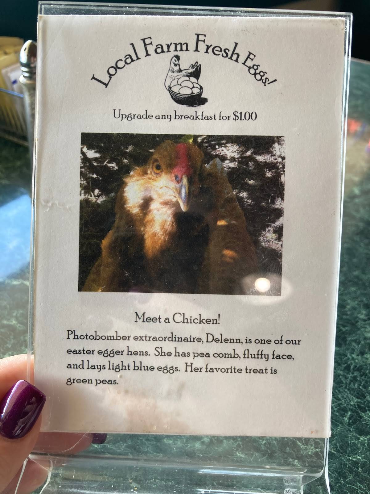 Menu at Quinault Cafe, Amanda Park