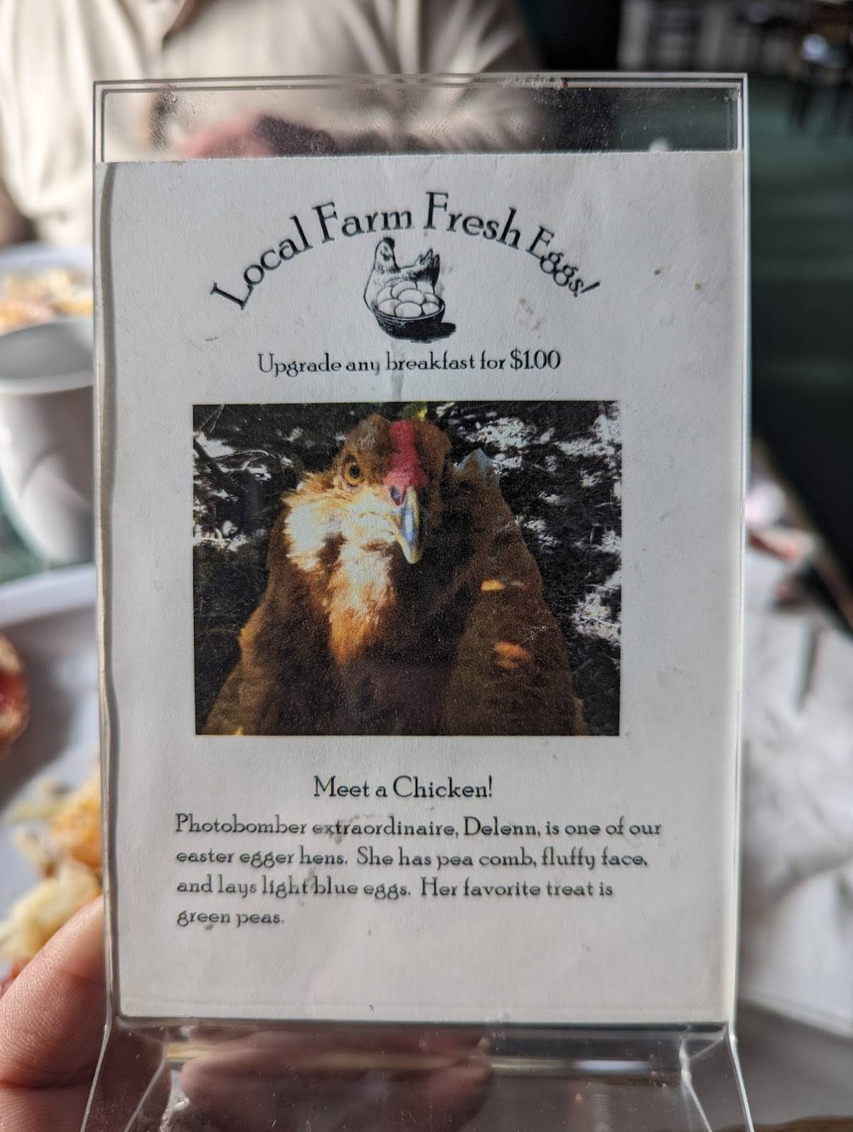 Menu at Quinault Cafe, Amanda Park
