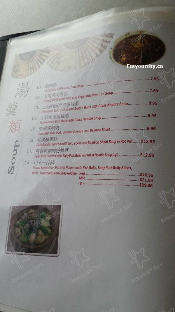 Shanghai visual data 3