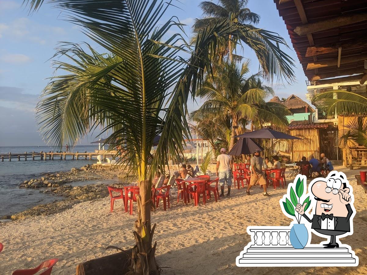 The Monkey Beach restaurant, San Miguel de Cozumel - Restaurant reviews