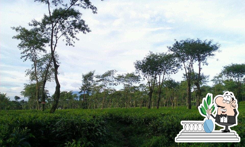Tea House cafe, Randuangung Restaurant reviews