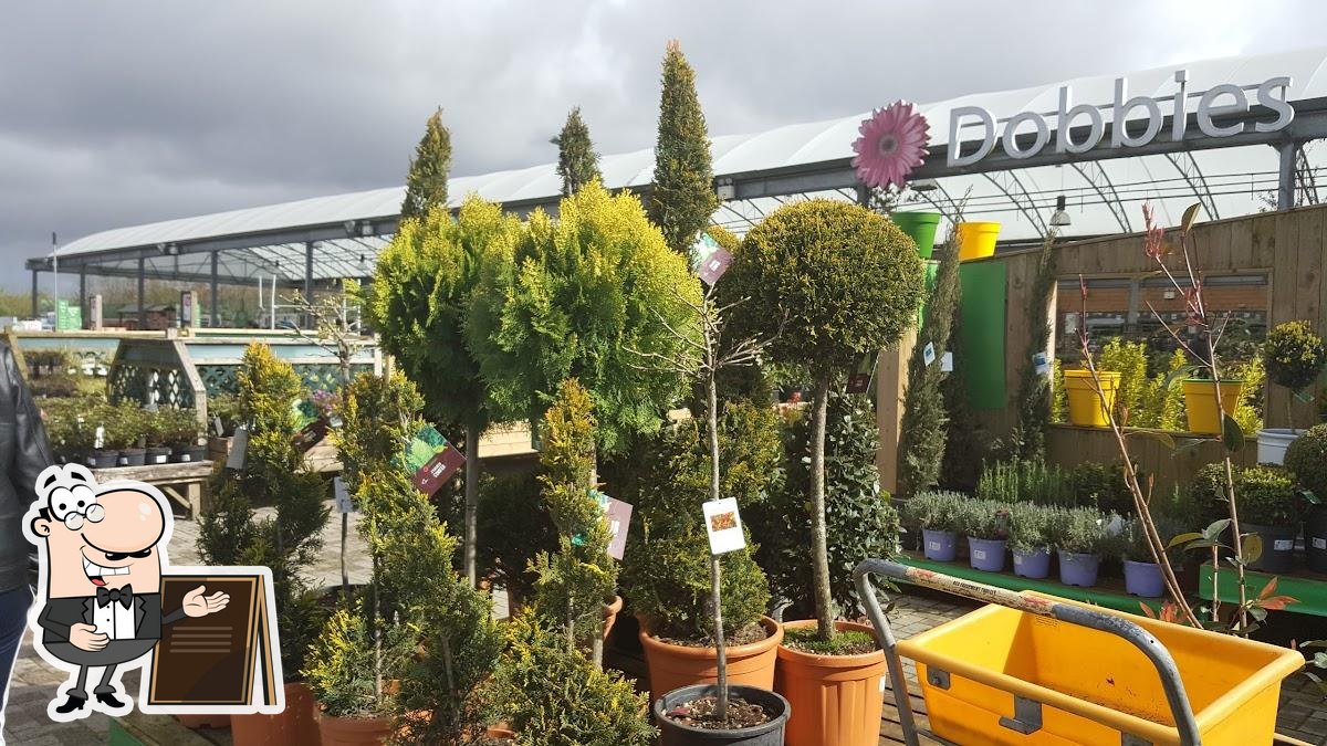 Garden Centre Lisburn Dobbs Fasci Garden