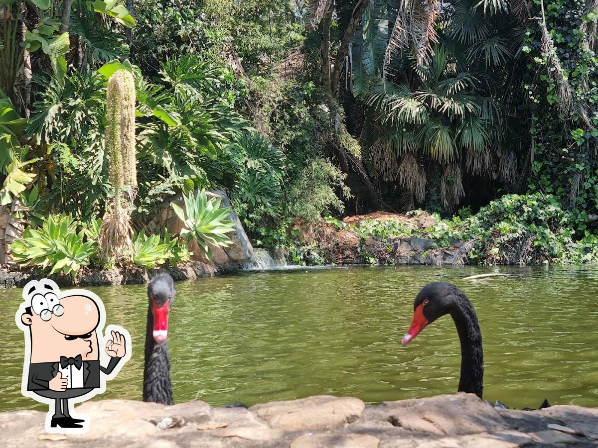 Safari Garden Centre restaurant, Pretoria, Lynnwood Rd Restaurant reviews