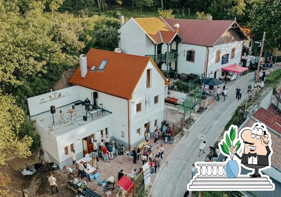 Gonda borászat Miskolc pub & bar, Miskolc