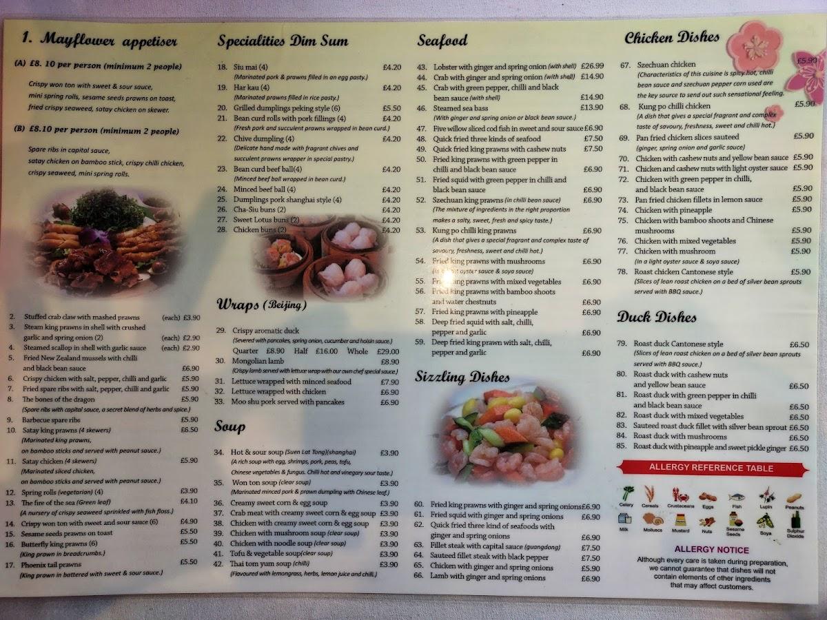 Menu at Mayflower Chinese Restaurant, Basingstoke