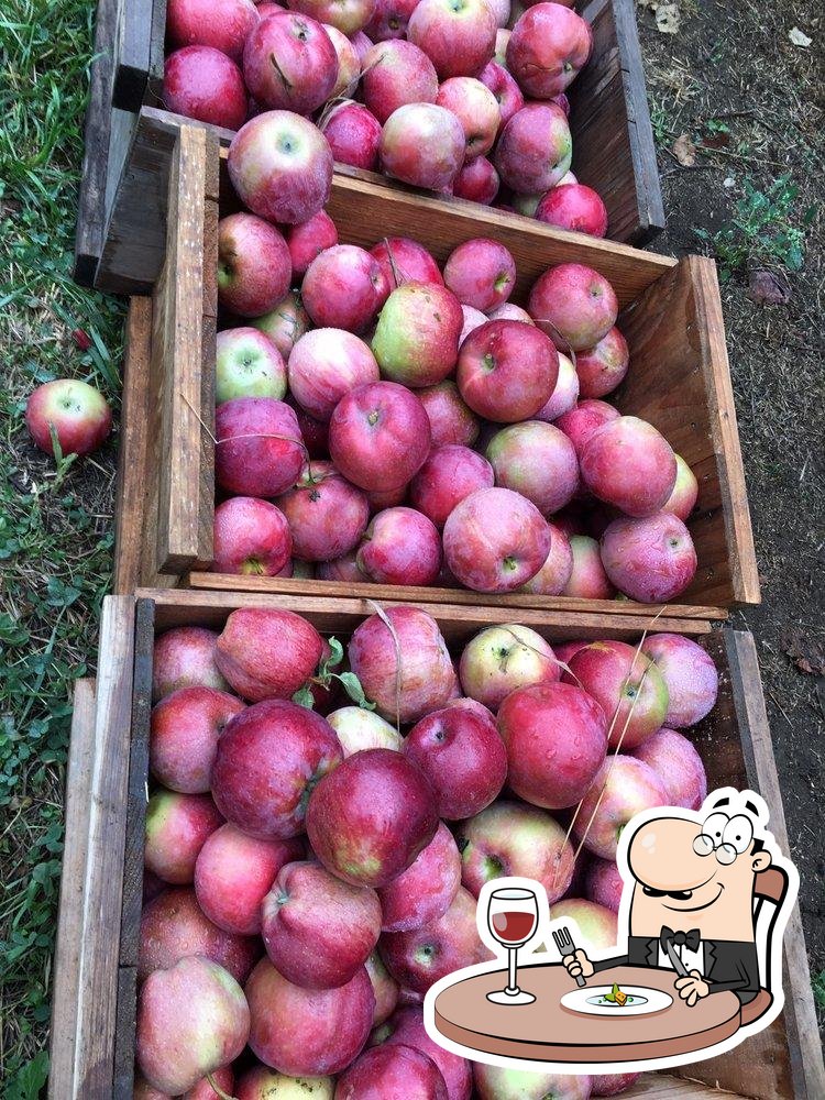 Rocky Ridge Orchard in Bowdoin Restaurant reviews