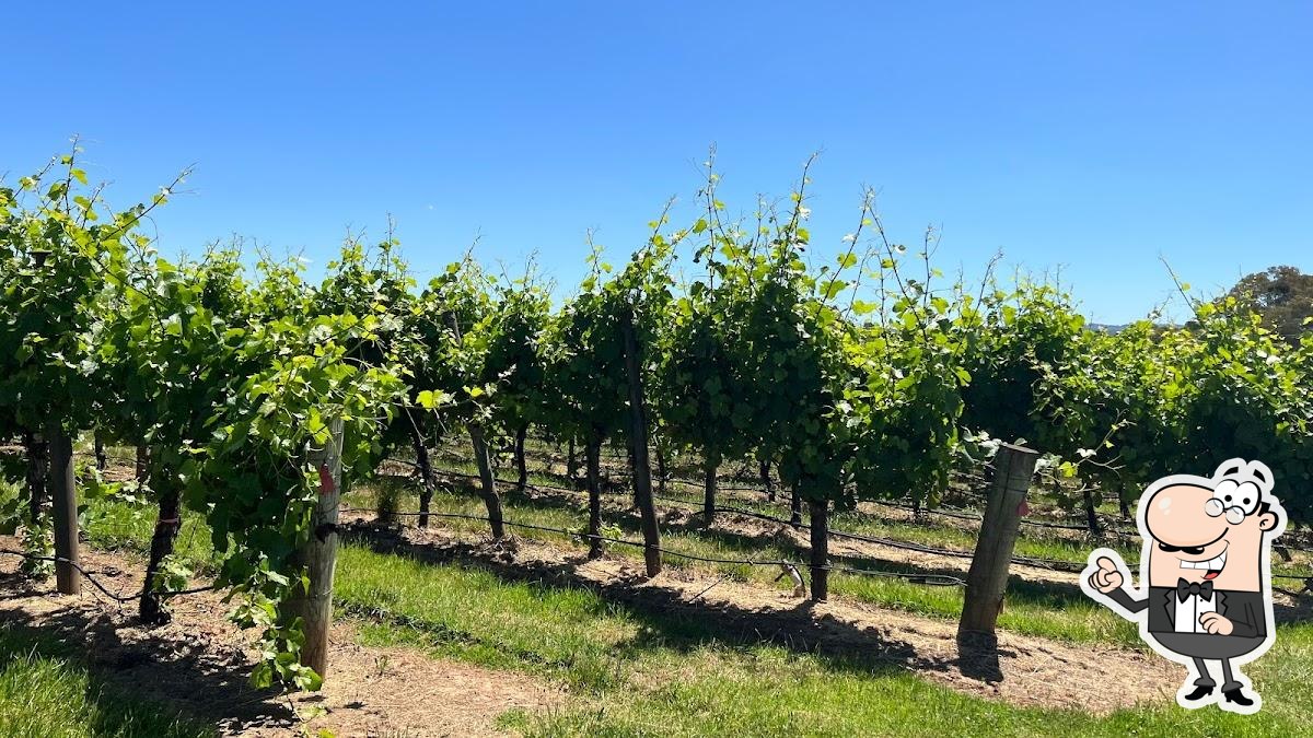 Nepenthe Cellar Door in Balhannah Restaurant reviews
