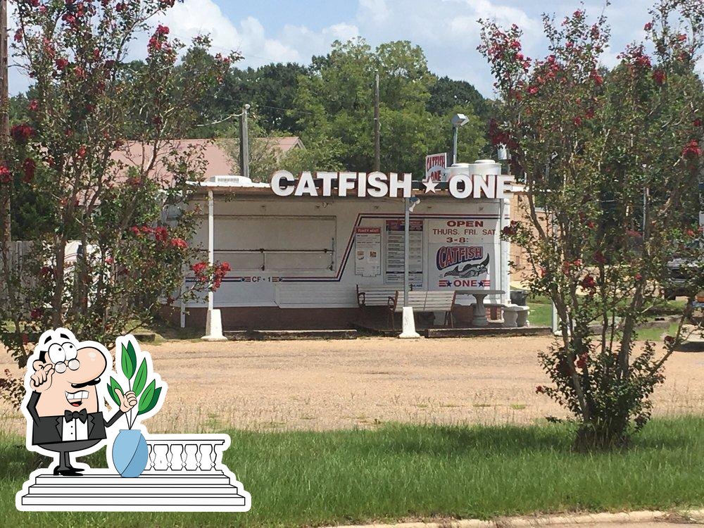 Catfish One in Monticello Restaurant menu and reviews