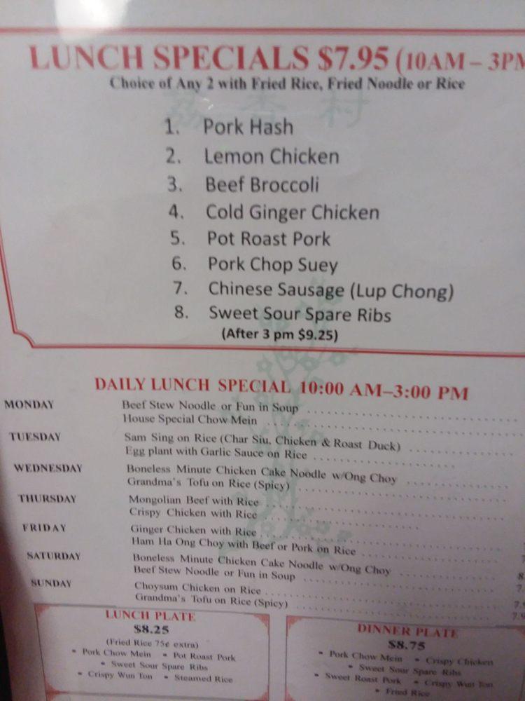 menu-at-the-mandarin-chinese-restaurant-oberlin