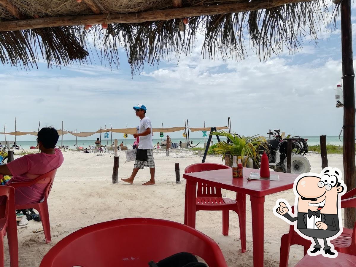 Aprender acerca 76+ imagen mantarraya beach club holbox Abzlocal.mx