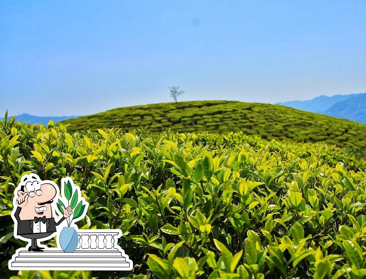 Five o'clock. Tea and coffee shops., Lubin Restaurant reviews