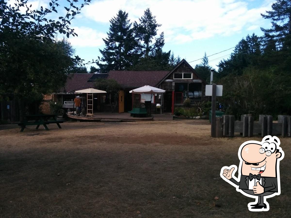 Cardboard House Bakery in Hornby Island Restaurant reviews