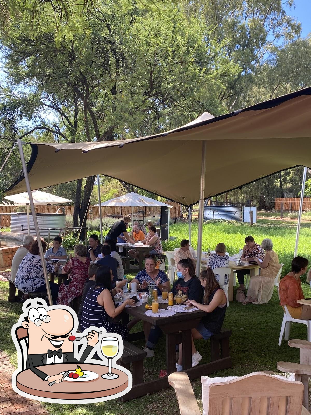 Buzz Cafe The Honey Company, Pretoria