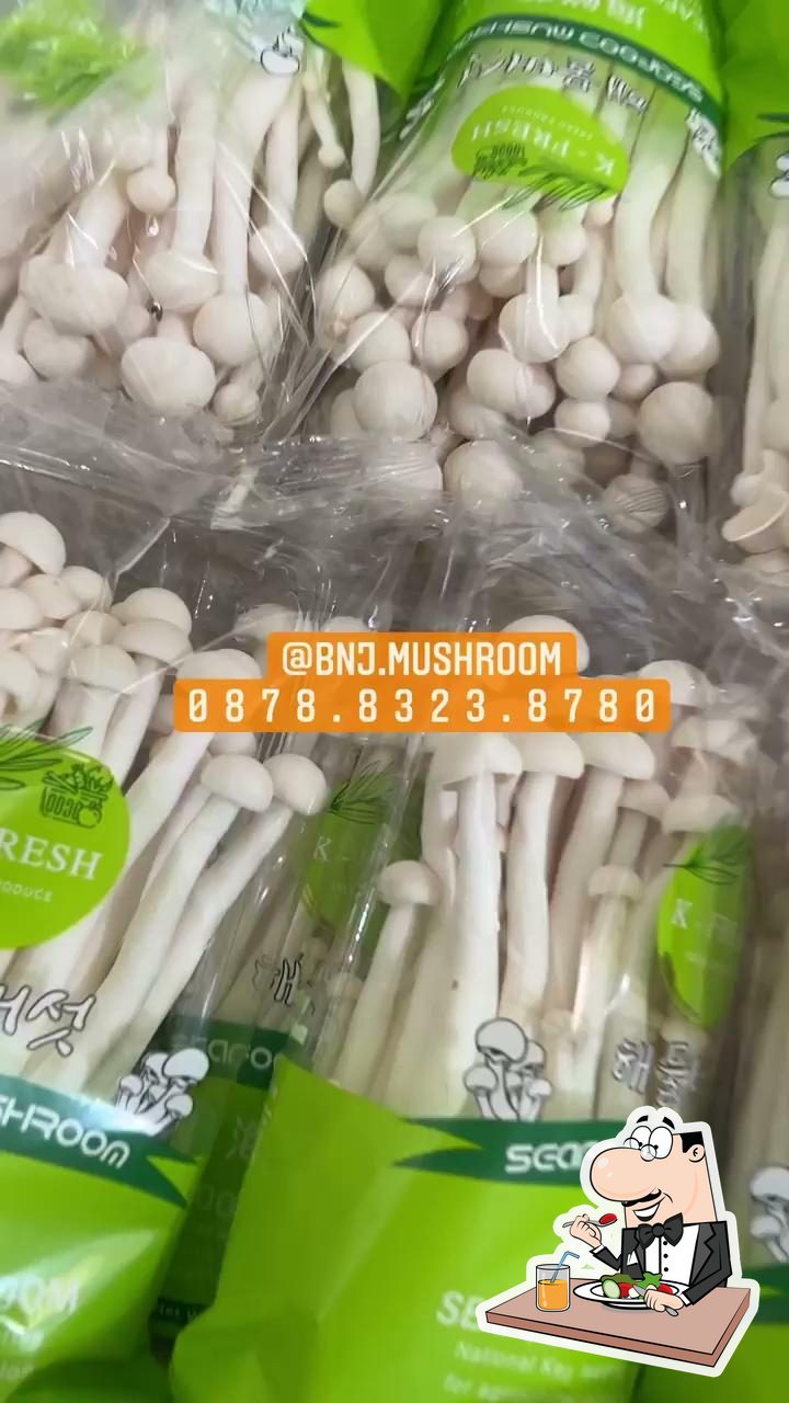 Agen Jamur Import BNJ Mushroom Enoki Shitake hioko hyoko Shimeji Burdock Gobo King