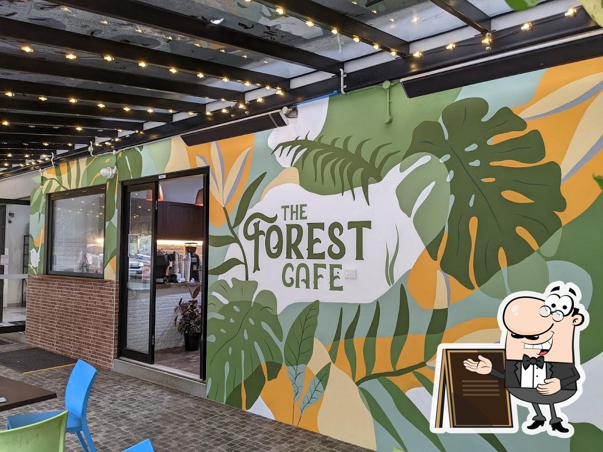 The Forest Cafe in Tamborine Mountain Restaurant reviews